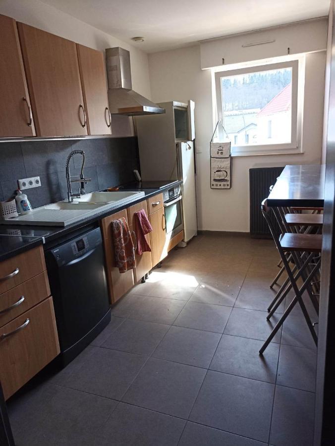 Appartement Gauche Avec Balcon Hargarten-aux-Mines Dış mekan fotoğraf