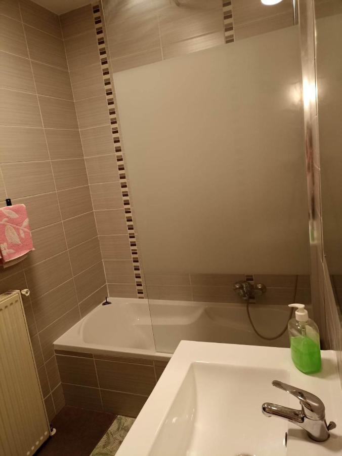 Appartement Gauche Avec Balcon Hargarten-aux-Mines Dış mekan fotoğraf